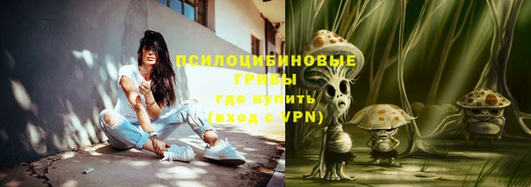 шишки Алзамай