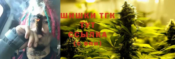 шишки Алзамай