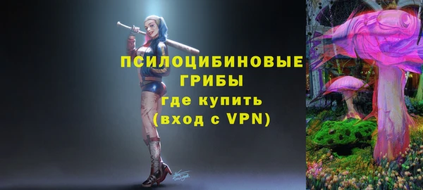 spice Абинск