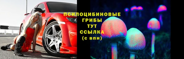 spice Абинск