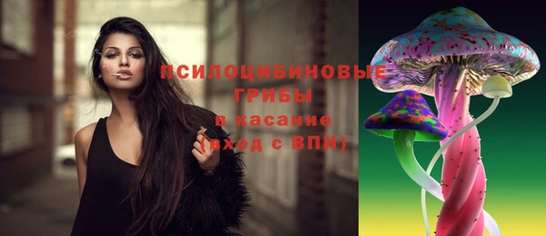 прущая мука Абаза