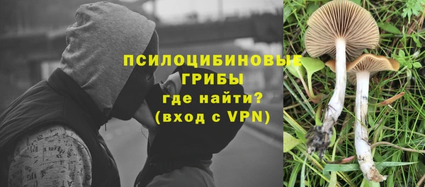 дмт Абдулино