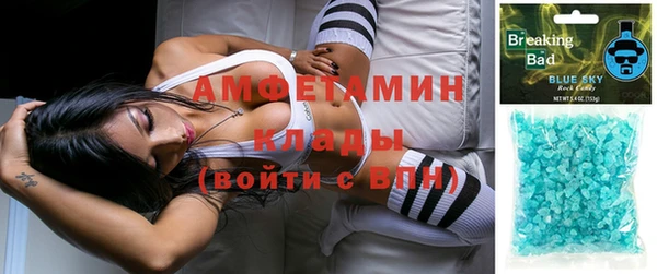 шишки Алзамай