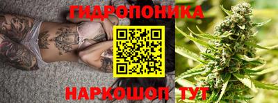 тгк Братск