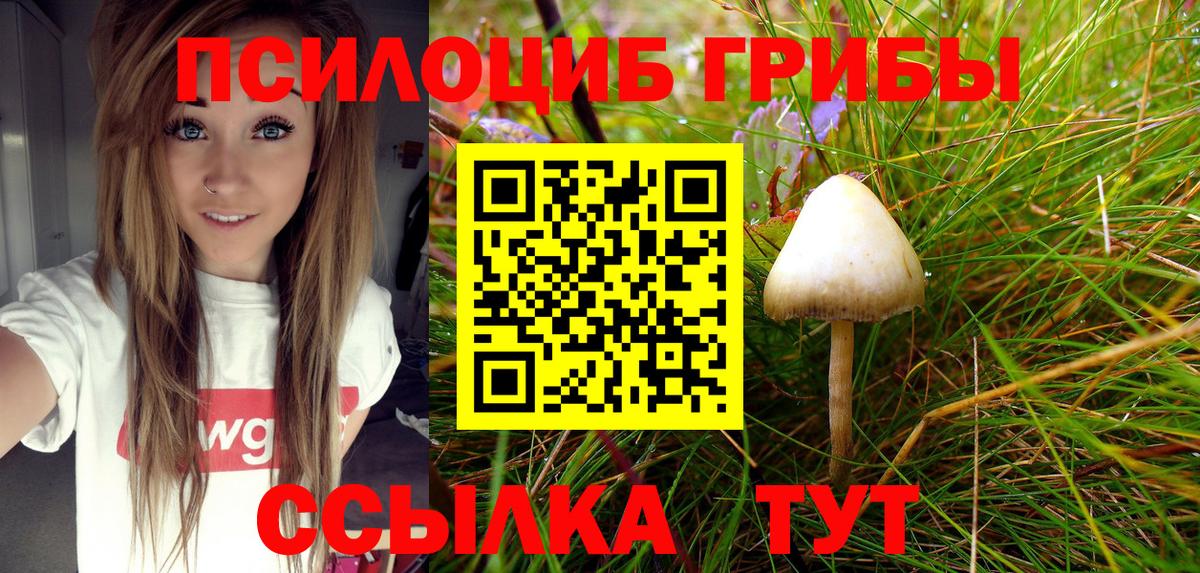 Белореченск  Галлюциногенные грибы ЛСД  Галлюциногенные грибы Psilocybe  Вход с VPN 